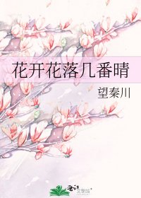 花開花落幾番晴